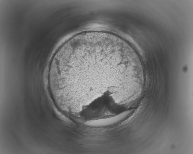 X0000116491421201001201354