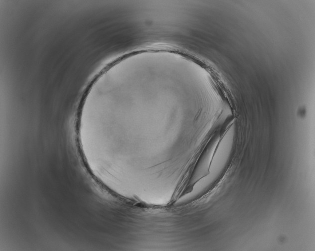 X0000116491422201001201354