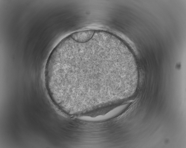 X0000116491423201001201354