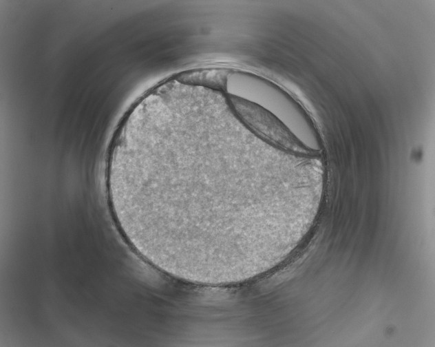 X0000116491424201001201354