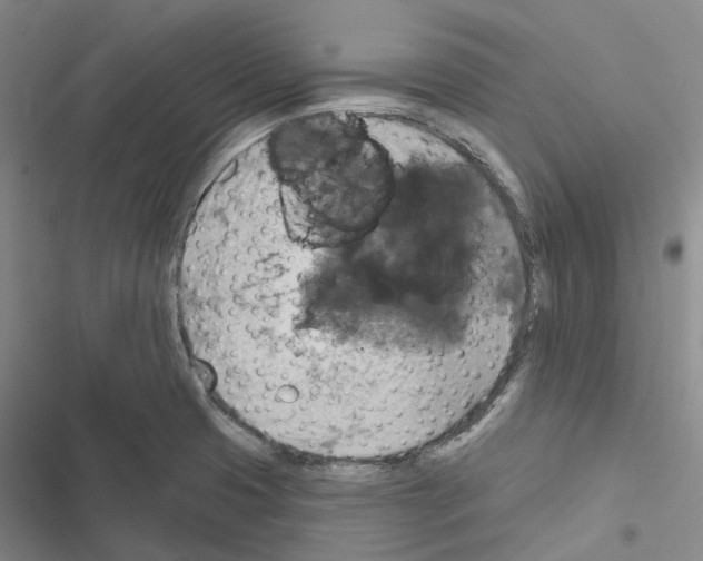 X0000116491425201001201354