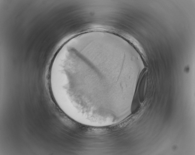 X0000116491427201001201354