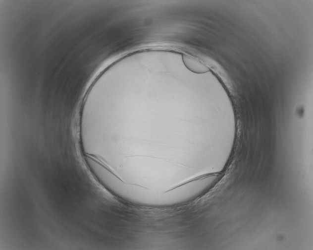 X0000116491428201001201354