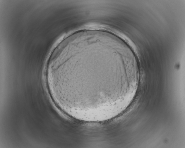 X0000116491429201001201354