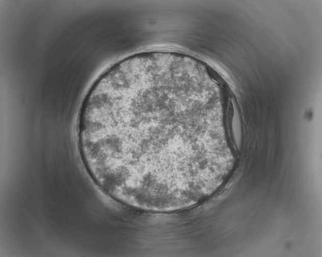 X0000116491430201001201354