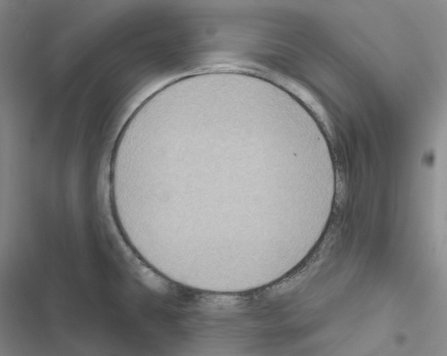 X0000116491431201001201354