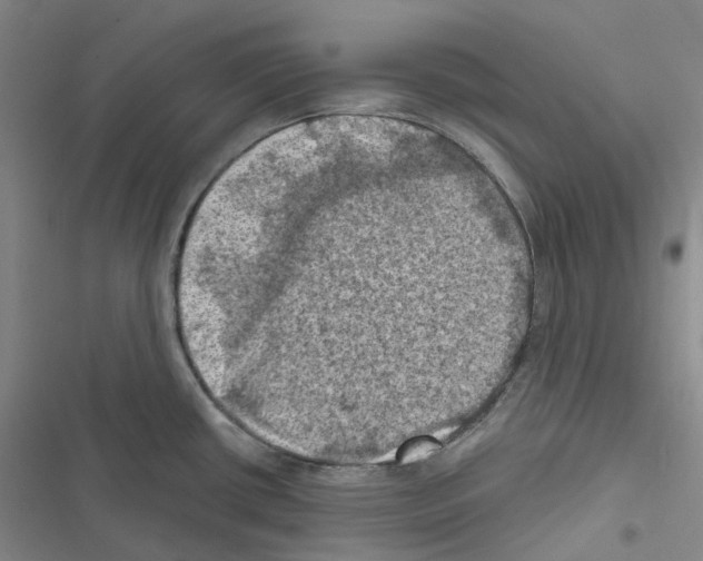 X0000116491434201001201354