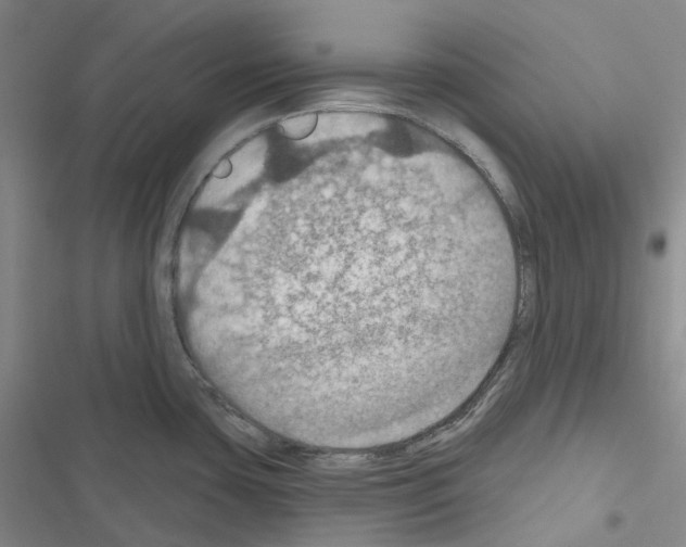 X0000116491435201001201354