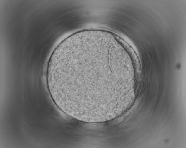 X0000116491437201001201354