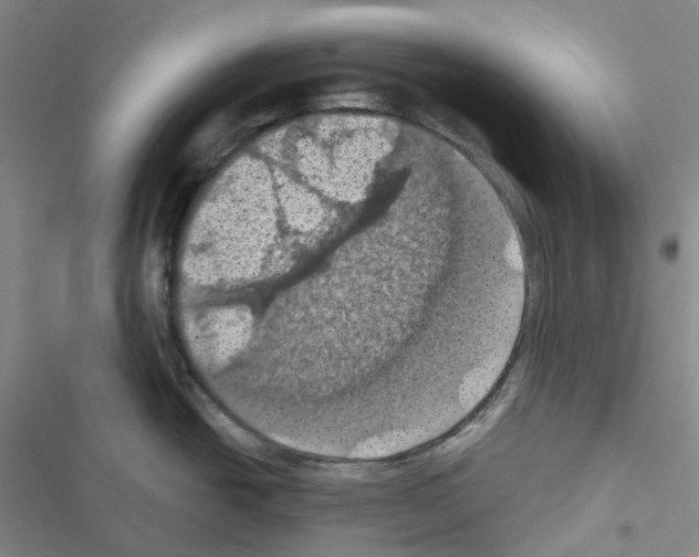 X0000116491438201001201354