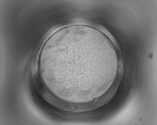 X0000116491439201001201354