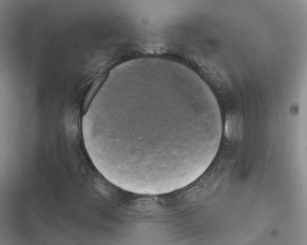 X0000116491444201001201353