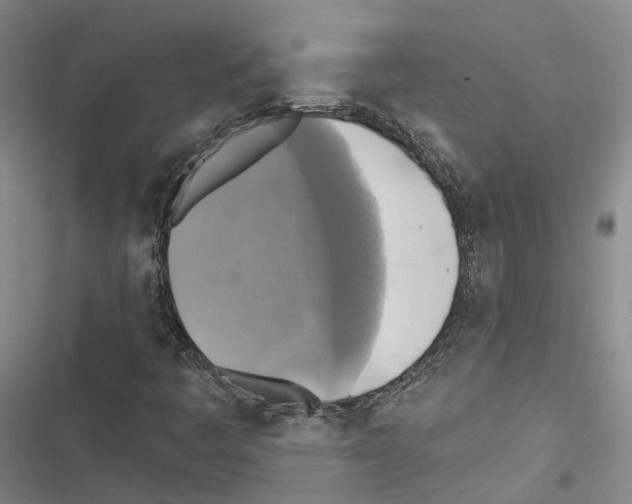 X0000116491445201001201353