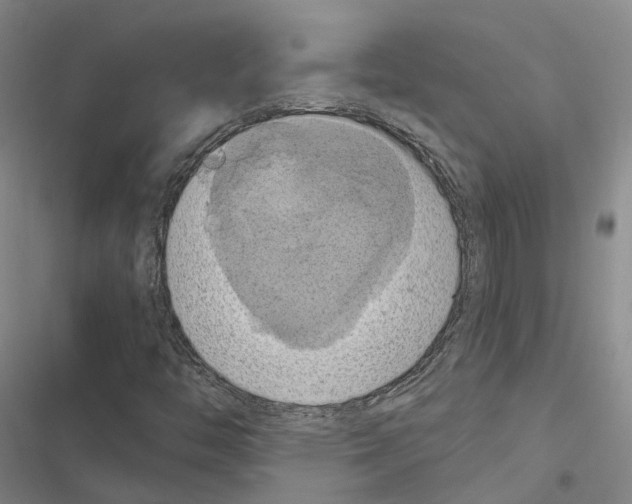 X0000116491446201001201353