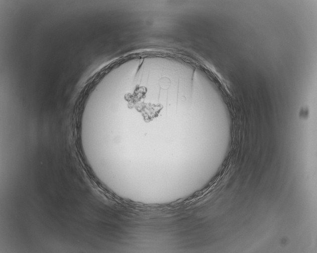 X0000116491448201001201353