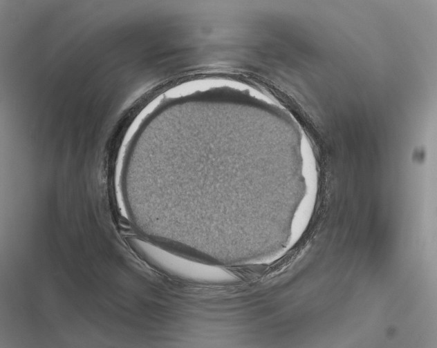 X0000116491450201001201353