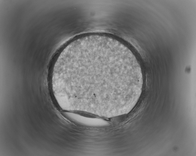 X0000116491452201001201353