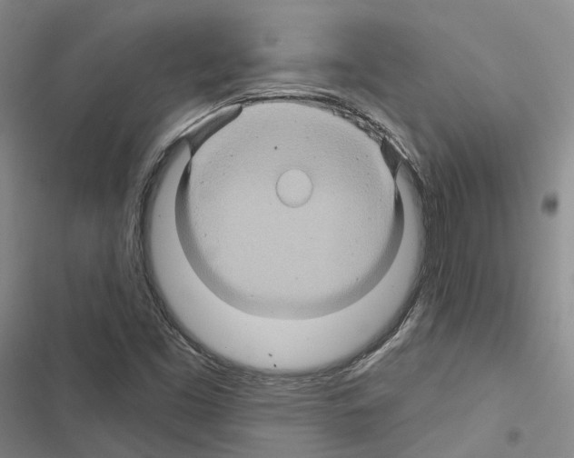 X0000116491453201001201353