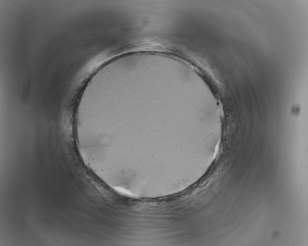 X0000116491455201001201353