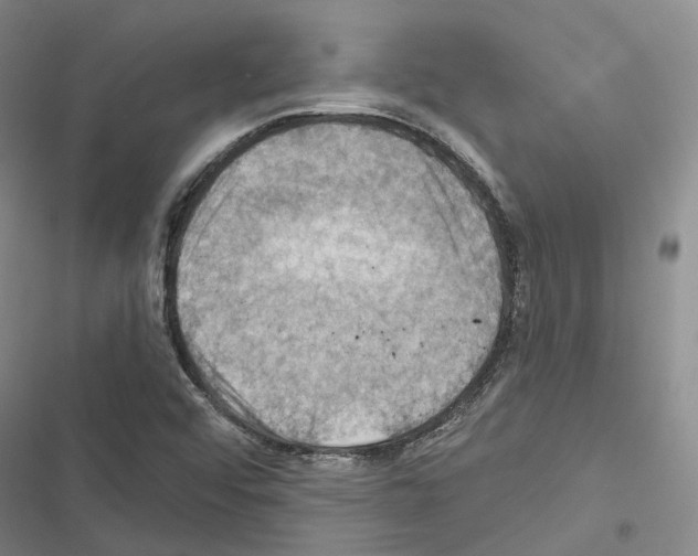 X0000116491456201001201353