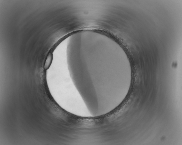 X0000116491457201001201353