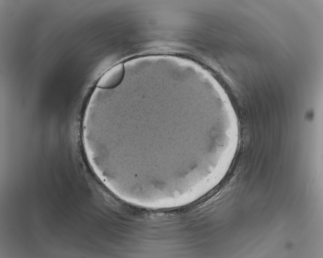 X0000116491459201001201353