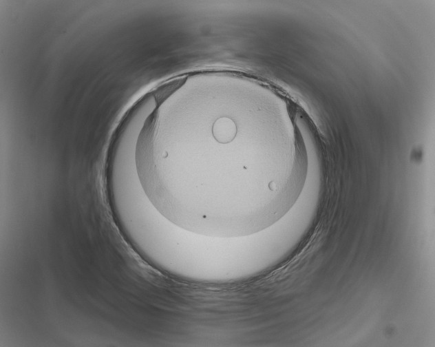 X0000116491460201001201353