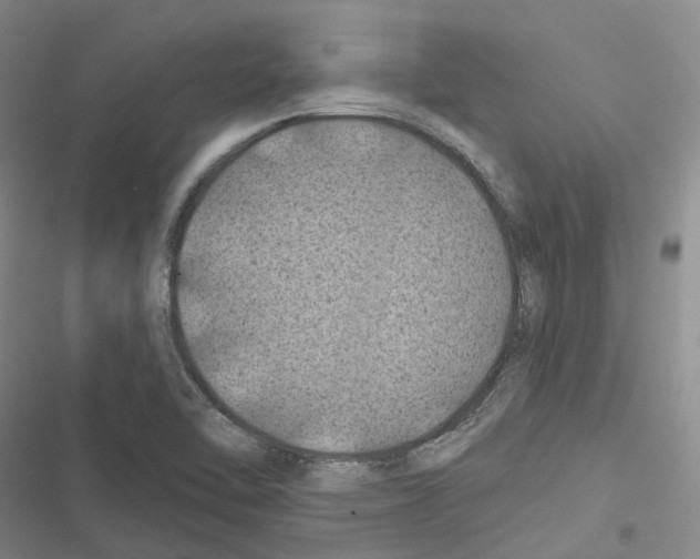 X0000116491462201001201353