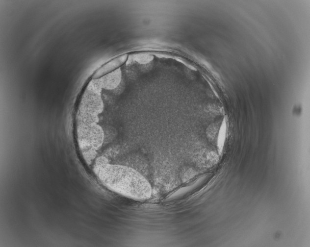 X0000116491463201001201353