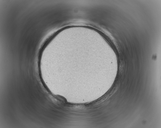 X0000116491464201001201353