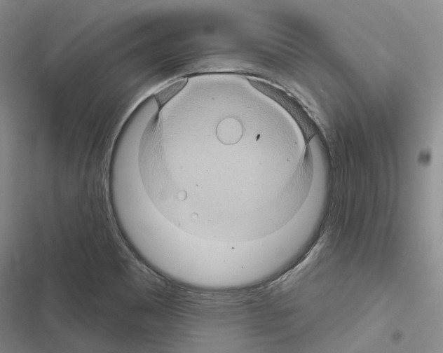 X0000116491465201001201353