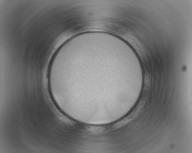 X0000116491466201001201353