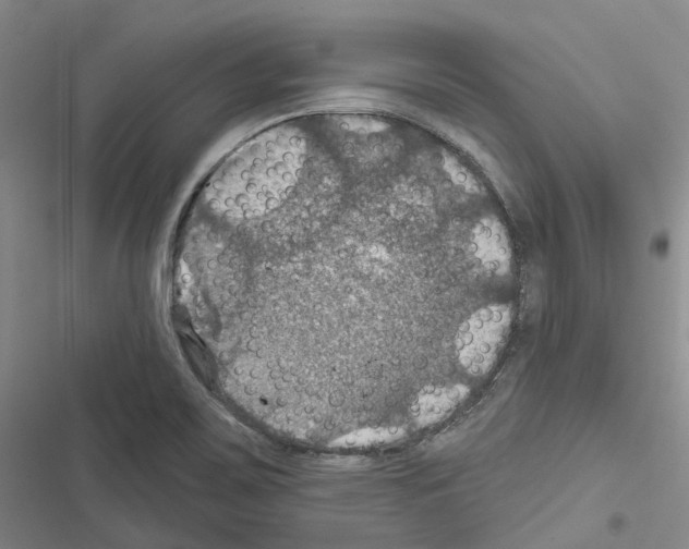 X0000116491467201001201353