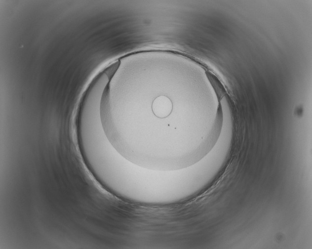 X0000116491468201001201353