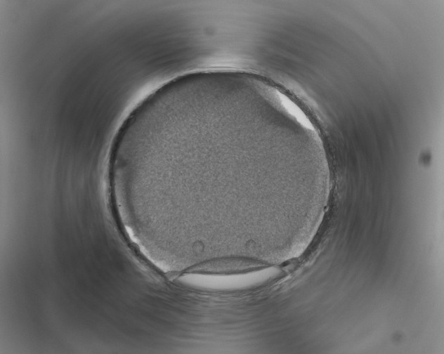 X0000116491469201001201353