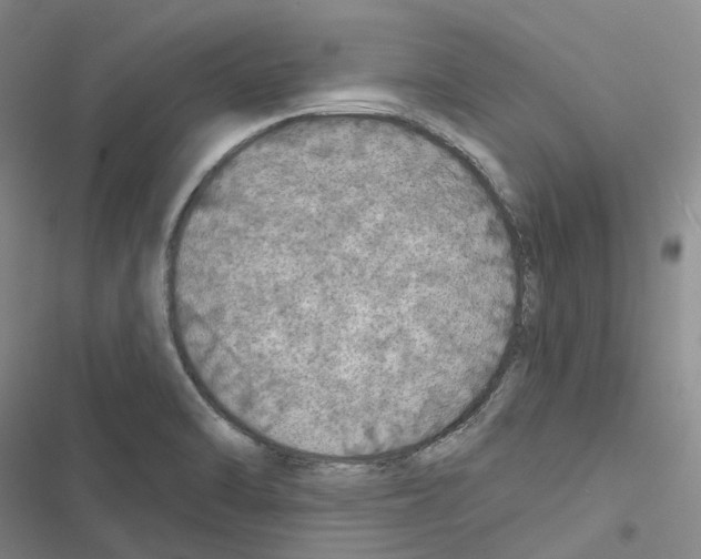 X0000116491470201001201353