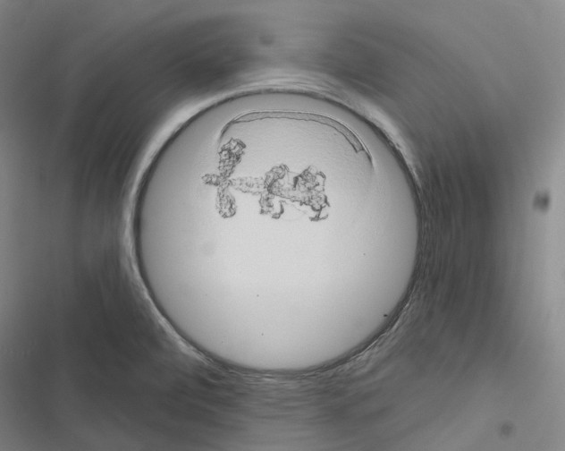 X0000116491472201001201353