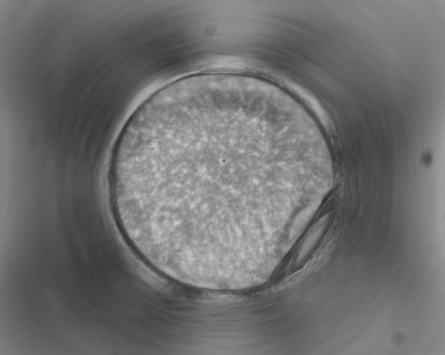 X0000116491475201001201353