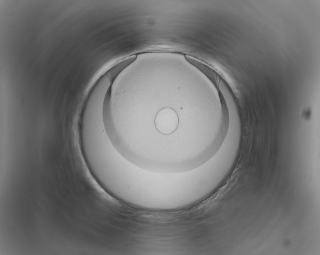 X0000116491476201001201353