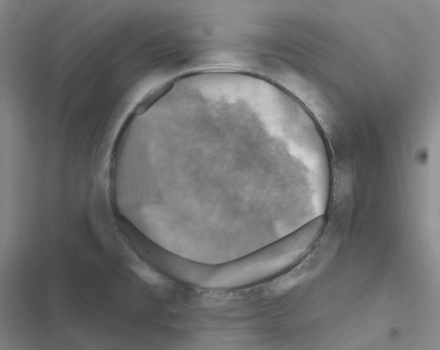 X0000116491477201001201353