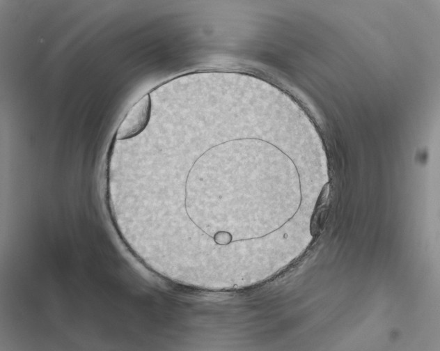 X0000116491479201001201353