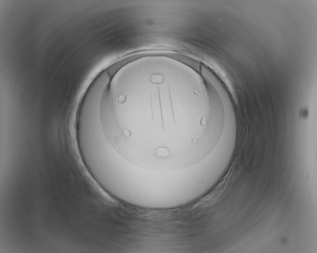 X0000116491480201001201353