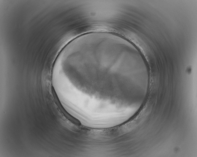 X0000116491481201001201353