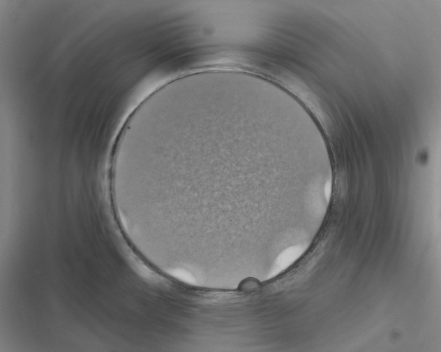 X0000116491482201001201353