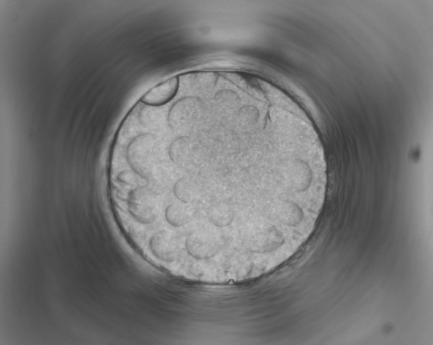 X0000116491483201001201353