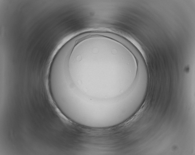 X0000116491485201001201353