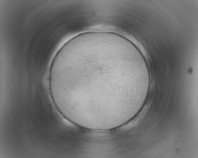 X0000116491486201001201353