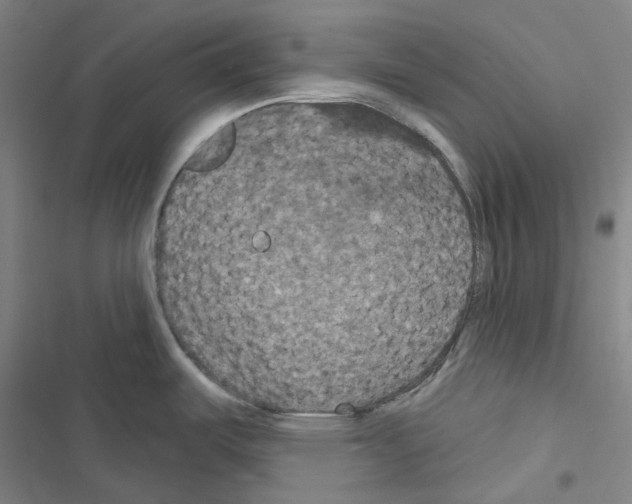 X0000116491487201001201353