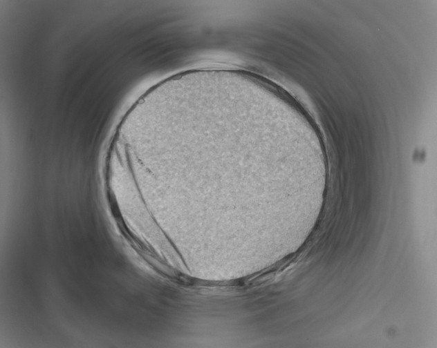 X0000116491488201001201353