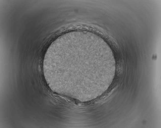 X0000116491490201001201352